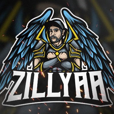 Twitch Affiliate Streamer
Runescape / COD / Among us 
Zillyaa