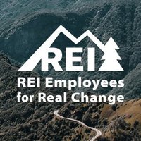 REIGreenVests (@reigreenvests) 's Twitter Profile