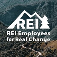 REIGreenVests(@REIemployees) 's Twitter Profile Photo