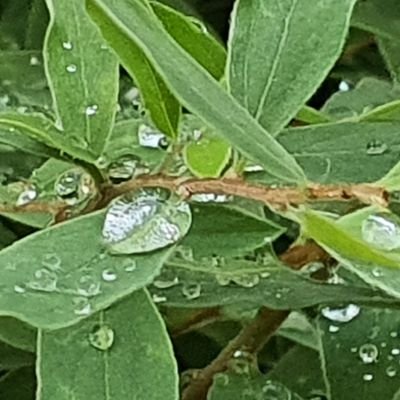 Nataliabonn17g1's profile picture. интуицией