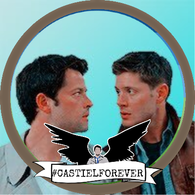 multifandom (spn and tvd/to mostly | aroace | 21 | Destiel & Klaroline
