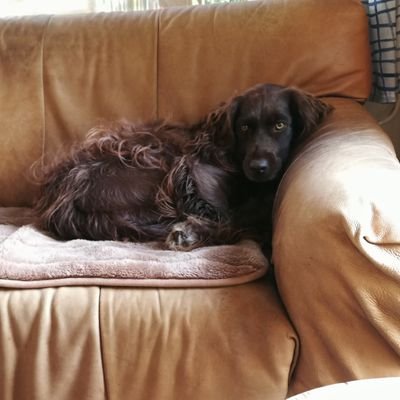 MarjoleinRoose1's profile picture. Medewerker Biblionet Drenthe; frontoffice en communicatie. Mijn motto? Zoek je de weg, dan is-ie weg. Maar doe je wat je kan, dan komt de weg achter je an.