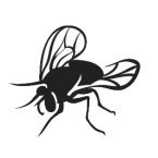 @gadflypress (@gadflypress) 's Twitter Profile
