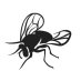 @gadflypress (@gadflypress) Twitter profile photo @gadflypress (@gadflypress) Twitter profile photo