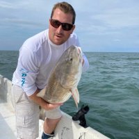 Allen Moran (@allenmoran2) 's Twitter Profile