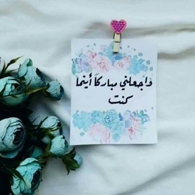 KSppTNY8YFqzebM's profile picture. 