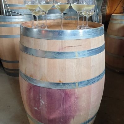 ChrisGTwit's profile picture. vine and wine lover