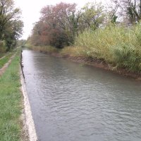 canal (@manchestercanal) 's Twitter Profile