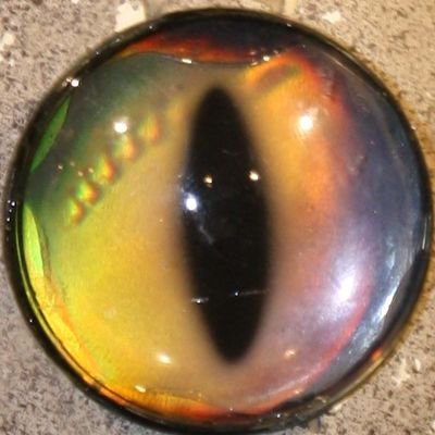 Artist + Witch. I guide people in conjuring their unique creativity. Twitter feels like a crowded elevator. I'm mostly here for the activists and comedians.