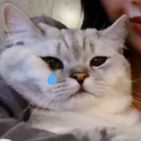 ๋๋ฐ (@dodae_c) 's Twitter Profile Photo ๋๋ฐ (@dodae_c) 's Twitter Profile Photo