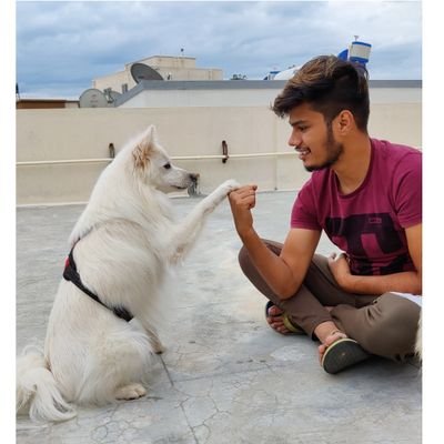 goelyash444's profile picture. 