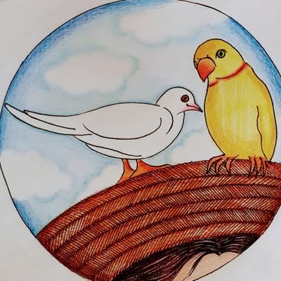 Torinoshiawase's profile picture. 鳩とインコのフリーフライト 。瀬戸内海。Free flight of Parrots and pigeons. 
https://t.co/l6B8TB91QV
https://t.co/mETgDNAPIt