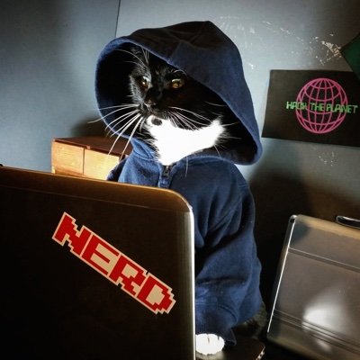 Just a cat that likes to hack