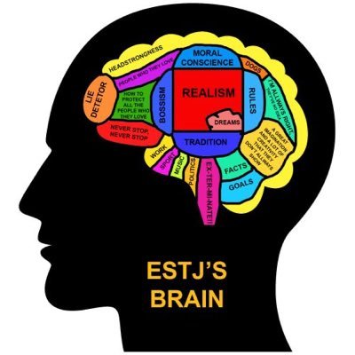 ESTJ - The executive.