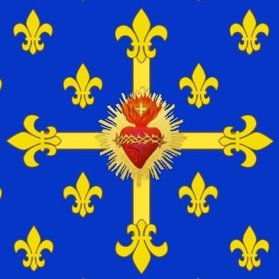 Catholique Traditionaliste. Gilet Jaune. Exilé Politique. Honneur, Patrie, Valeur, Discipline. ⚜️⚜️⚜️ (même nom sur #parler)