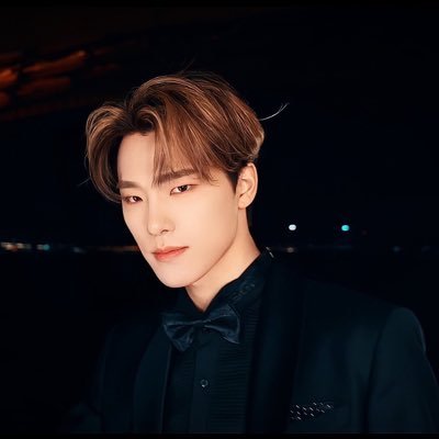 onlyseokchan's profile picture. multi — svt skz nct exo ; 私は花 ♡ | they/them