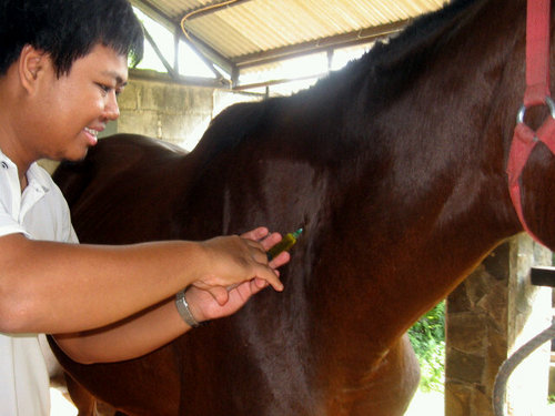 denysamudra's profile picture. Veterinarian & Marketing Enthusiast