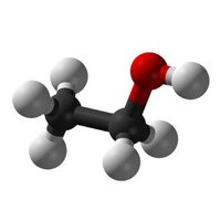 EckfordLab (@eckfordlab) 's Twitter Profile