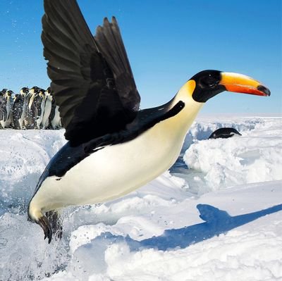 jewfr0_legend's profile picture. 