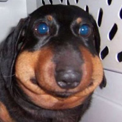 Parkjohnson19's profile picture. 