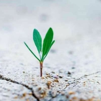 9An4WoNIgGCnEzU's profile picture. ‏اللهم إجعل للأمل في قلوبنا شروقًا لا غروب له