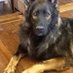 Vigilant 2 #teampatriotes🇫🇷 (@2_vigilant) Twitter profile photo Vigilant 2 #teampatriotes🇫🇷 (@2_vigilant) Twitter profile photo