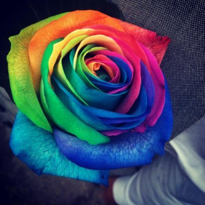 rue21missoula's profile picture. 