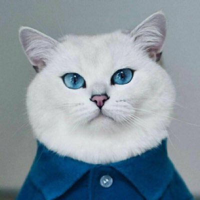 rsx2Chgp4NlgSnv's profile picture. Okx 注册链接 https://t.co/wrB5U9VC0M