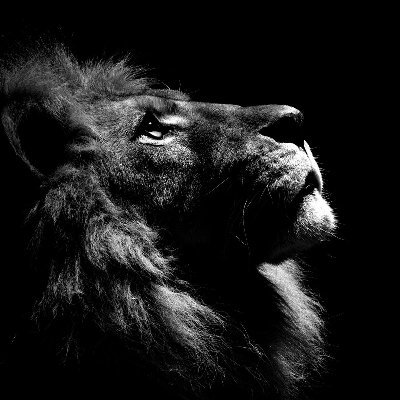 Bigornote_'s profile picture. 