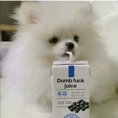 WholesomeDumDum's profile picture. a bipedal Dum Dum.