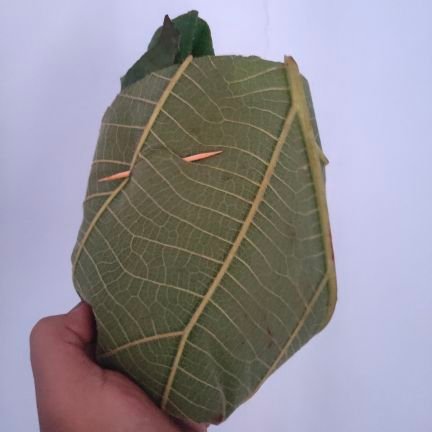 zmakerx's profile picture. Sego pecel purun?