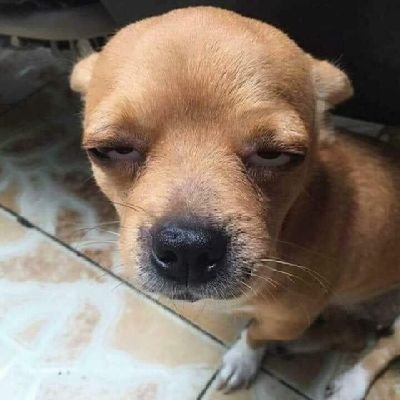 TuanHA52365059's profile picture. nothing!!!!!
