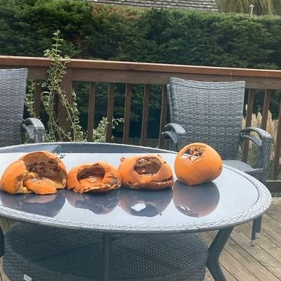 ohnoburrito's profile picture. Moron. 26. Sag & Sad. She/They.