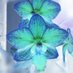 Oxana 🇺🇦🌻 (@mygardenlady) Twitter profile photo Oxana 🇺🇦🌻 (@mygardenlady) Twitter profile photo