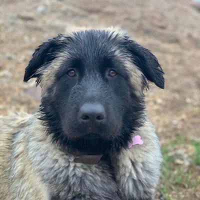 PMASilva's profile picture. Gestor por opção, Fotógrafo graduado pelo New York Institute of Photography @nyip, amante da Pesca ao Achigã