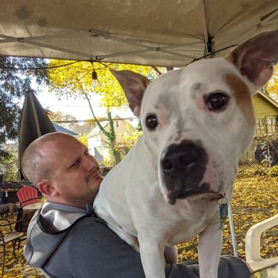 greg_maine's profile picture. Educator.  Thinker.  Gnome whisperer.