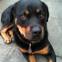 Carol Box - @Porscheboxy - Twitter