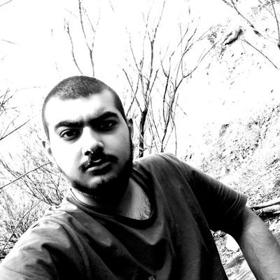 shadmehr_ziy's profile picture. programmer