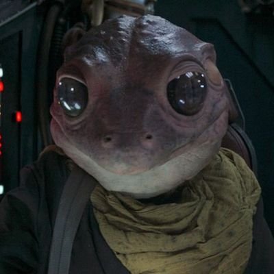 dislexiaa's profile picture. bby baozer; professional pouter
♋♋♌