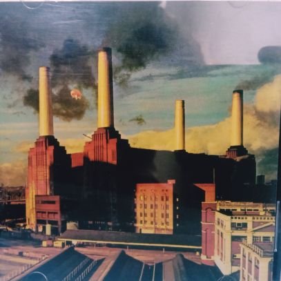 Cavalier_34's profile picture. Reducir la complejidad de la inteligencia o la economía a una escala numérica, ya sea ésta el CI o el PNB, es una miopía,