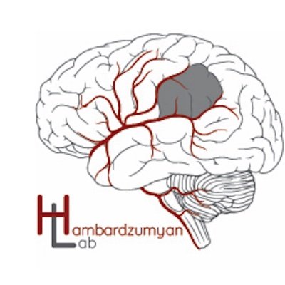 The Hambardzumyan Lab