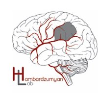 The Hambardzumyan Lab (@hambardzumyanl1) 's Twitter Profile
