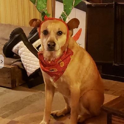 AlienPrisms's profile picture. not to be dramatic, but BLM | she/her