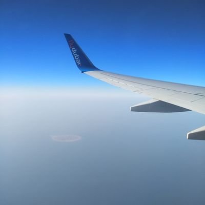 OmarDragon10's profile picture. 