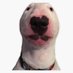 :0 Ethan (@ethanthedumbass) Twitter profile photo :0 Ethan (@ethanthedumbass) Twitter profile photo