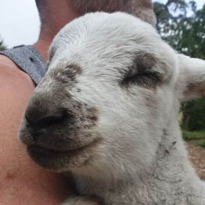 Love this world, the environment , sports, business , politics , farming ... and have an opinion on the lot. I enjoy following what is happening in the 🌎