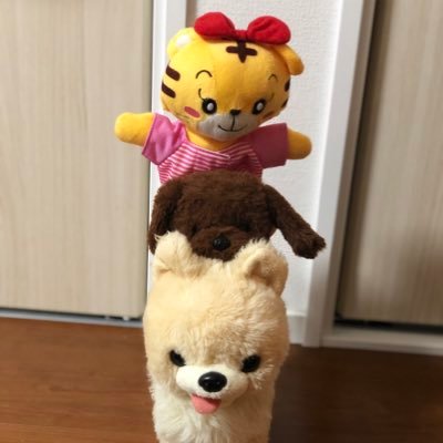 結婚9年目。子供3人。ふと思ったことをたまにツイート。ただボヤいているだけ。