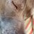 Lorelei25433123's profile image