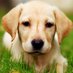 AnimalCareGlobe (@animalcareglobe) Twitter profile photo AnimalCareGlobe (@animalcareglobe) Twitter profile photo