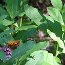 Samiran RoyChowdhury - @samira_roy - Twitter